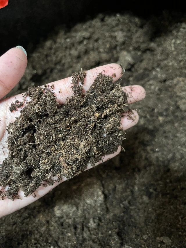 1768545760096-PEATMOS 3