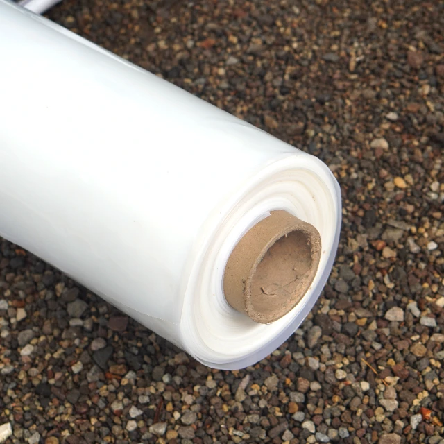 1768550097528-DSC07892