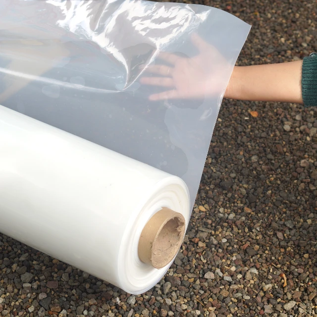 1768550104423-DSC07895