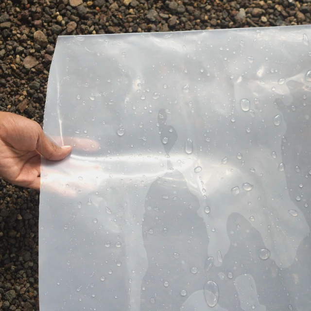 1768550114127-DSC07900