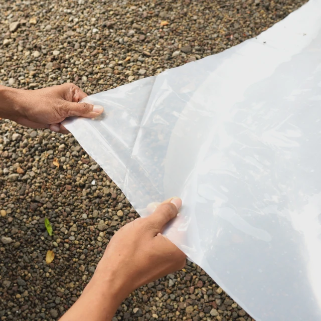 1768550146820-DSC07884