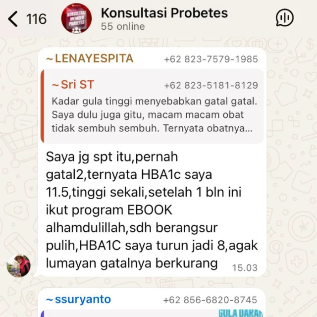 1768979381715-testi program 1.webp