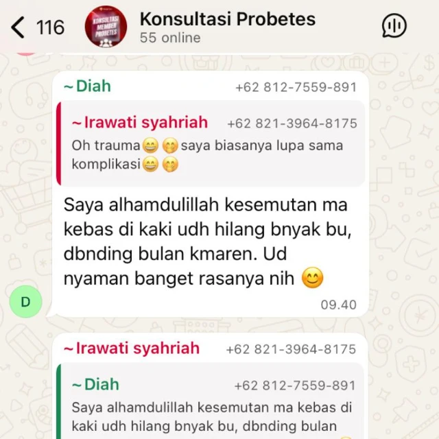 1768979391347-testi program 2.webp