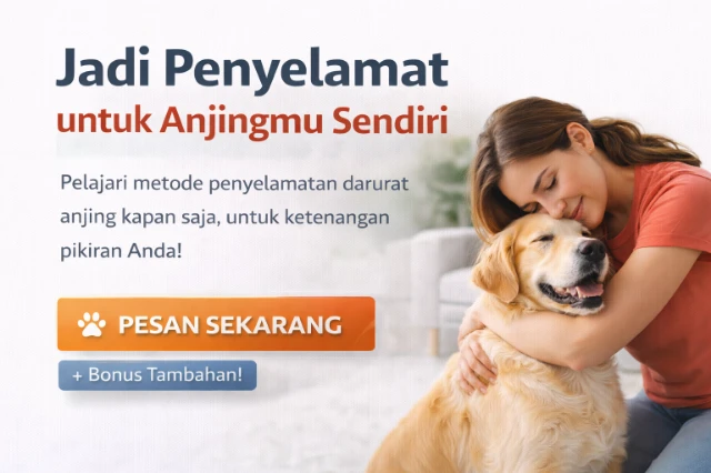 1769152800290-ChatGPT Image 20 Jan 2026, 18.08.43