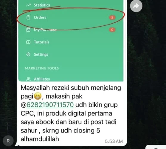 1769156181448-testa2