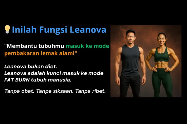 1769347486944-inilah fungsi leanova