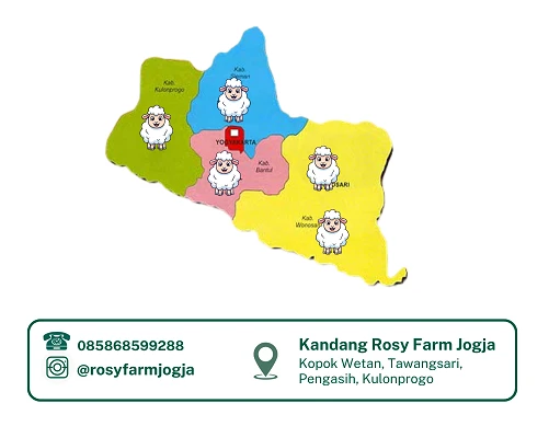 1769436071207-CICILAN Q (Poster) (2)