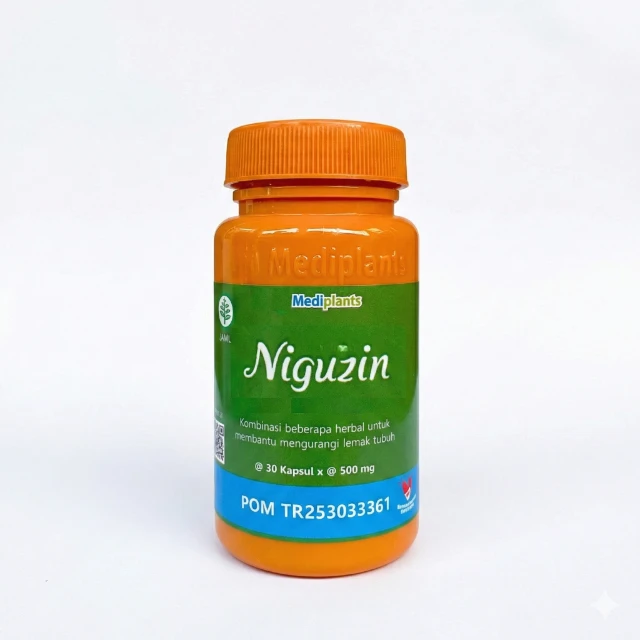 NIGUZIN