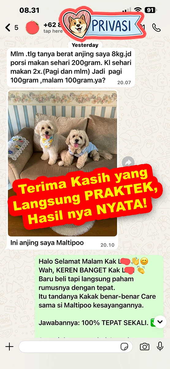 1769651214288-IMG_4078 copy.webp