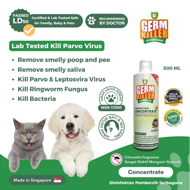 1769875298743-id-11134207-7rasa-m3pzligpt2l4b5