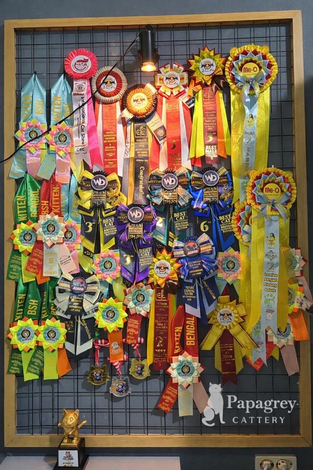 1770005059486-ChatGPT Image Feb 2, 2026, 11_04_04 AM