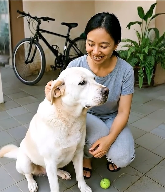 1770194407358-Andita2