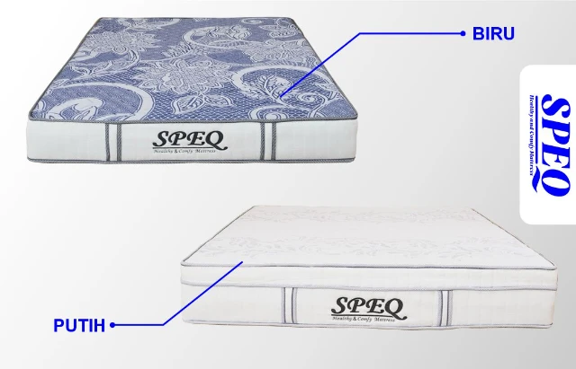 1770261194203-Speq Article 4