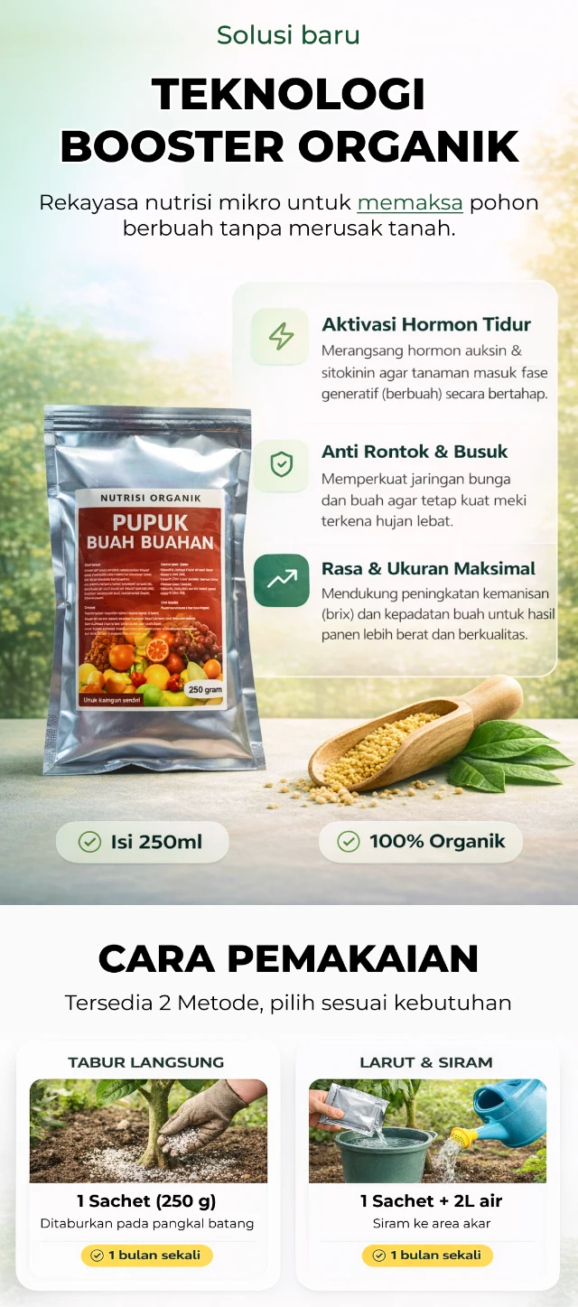 1770266946527-Frame 357 (3)