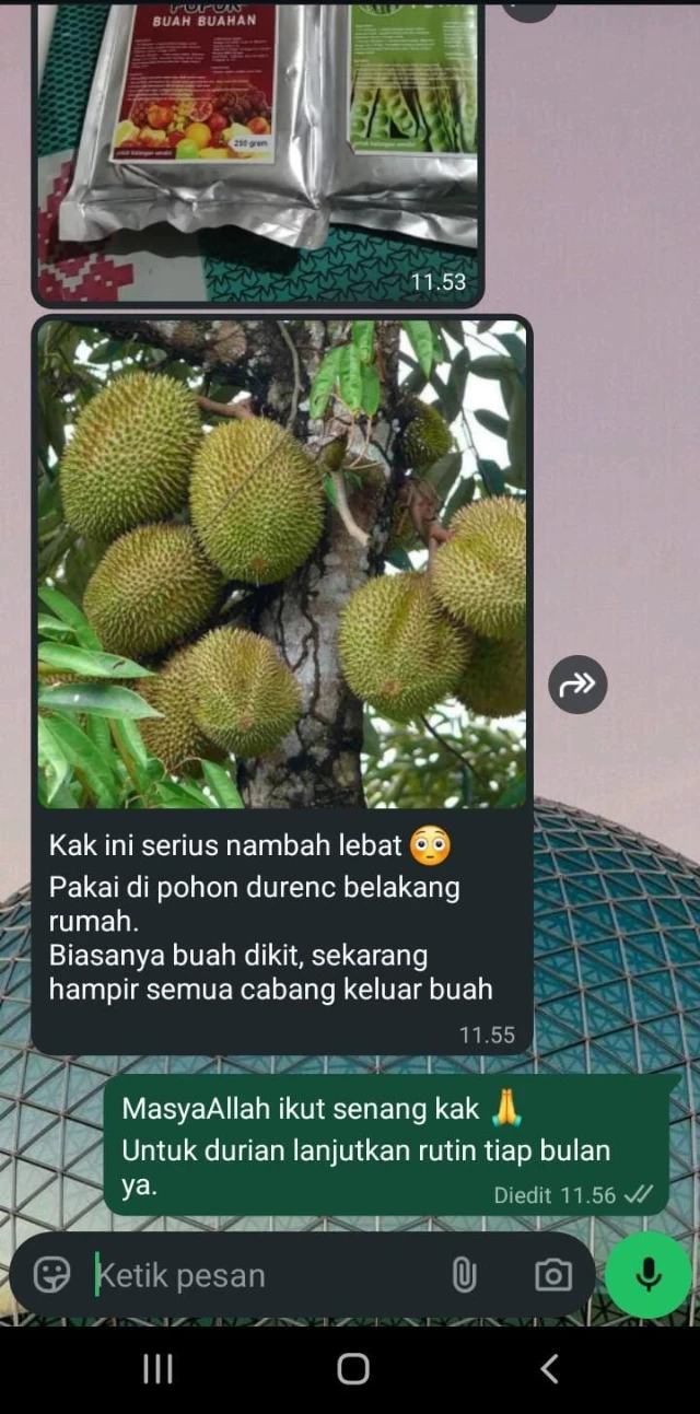 1770267468752-WhatsApp Image 2026-02-05 at 11.57.22.webp