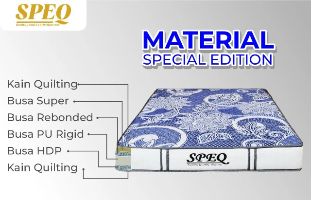 1770269029109-Speq Article 8