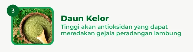 1770271370080-0203-9-2024 - NUTRIFLAKES - LP - TYO-08-min.webp