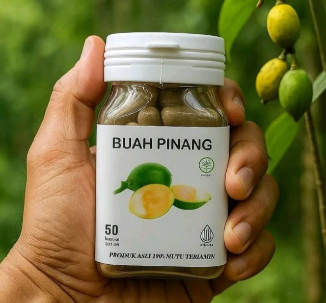 Kapsul Buah Pinang