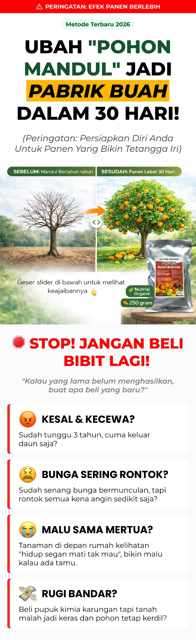 1770274029924-Frame 356 (1)