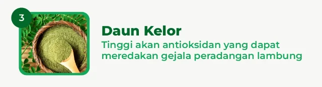 1770275137542-kandungan3