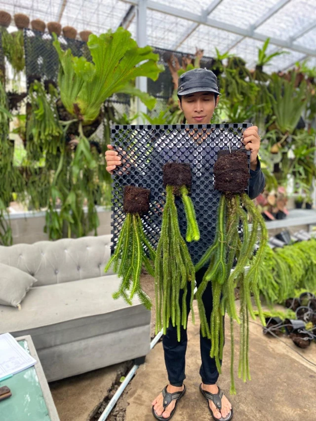 1770377202289-WhatsApp Image 2026-02-06 at 18.17.36