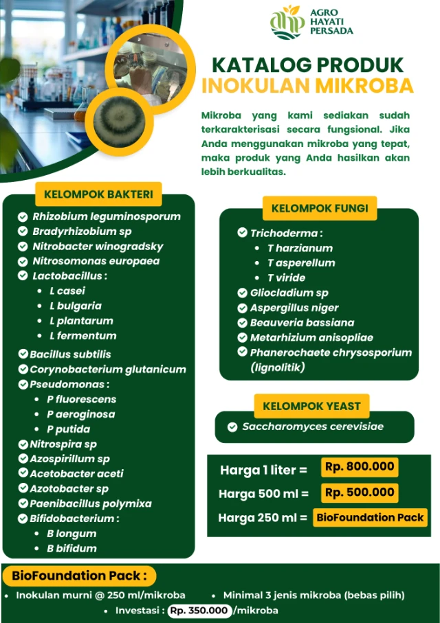 1770605089113-Katalog Produk Terbaru