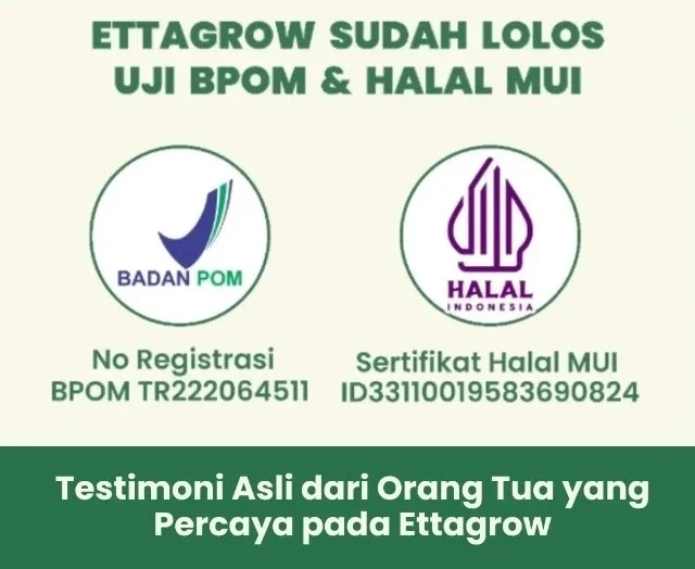 1770621602190-1768960825569-2-oke (1)22