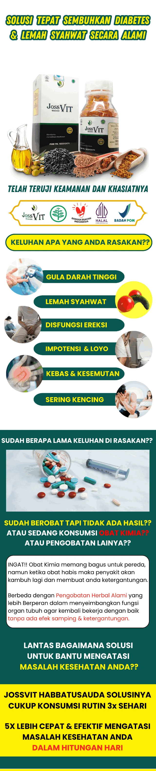 1770688959338-LP HIJAU 1