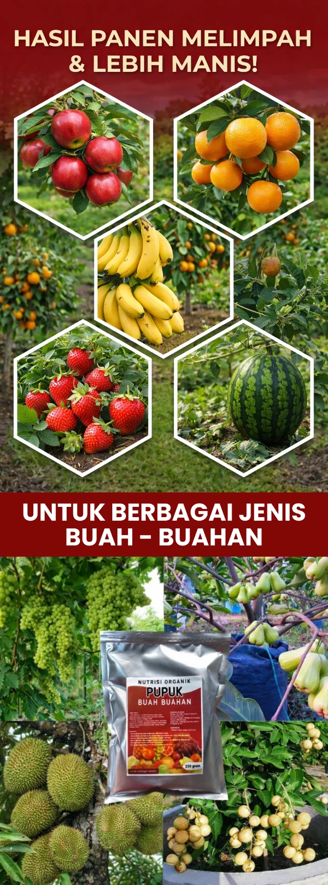 1770695138177-Pupuk baru 2