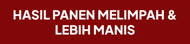 1770695258950-Frame 411