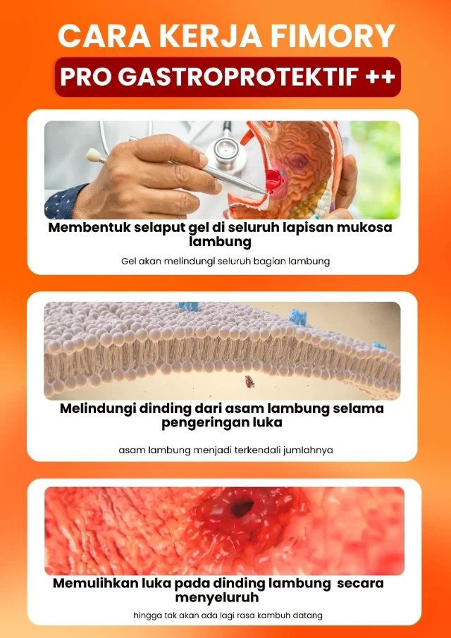 1770710324171-1752554075359-Salinan dari LP UTAMA FIMORY BARU