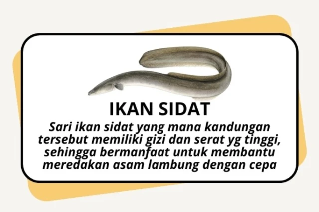 1770710958021-18 - Copy (2).webp