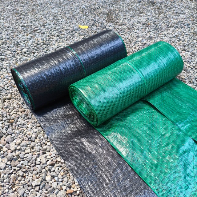 1770715254940-IMG_20250605_110053