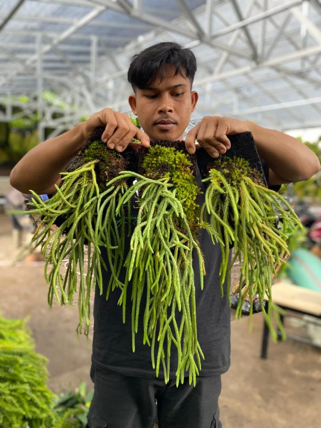 1770734076923-WhatsApp Image 2026-02-06 at 18.17.35