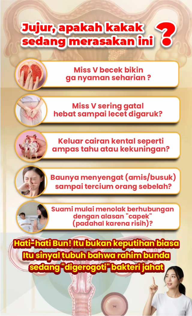 1770773261690-LP BINTANG 2