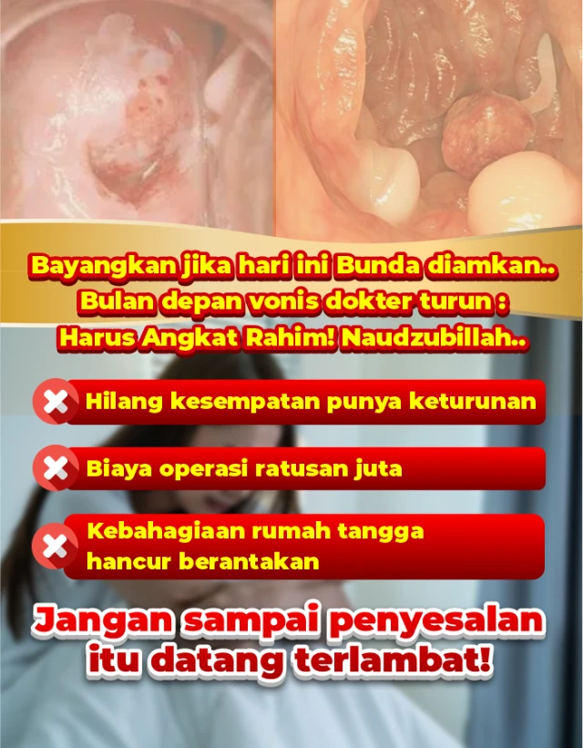 1770773273266-LP BINTANG 3