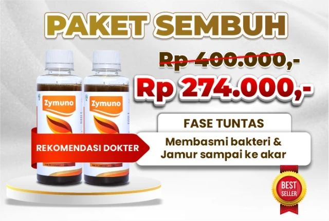 1770795574056-katalog (2)