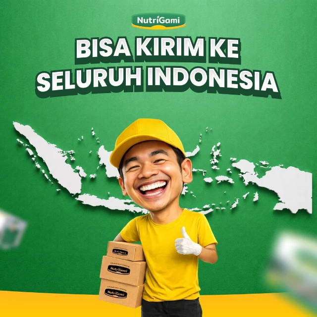 1771050506688-siap kirim seluruh indonesia