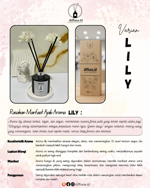 1771256432766-Lily 2.webp