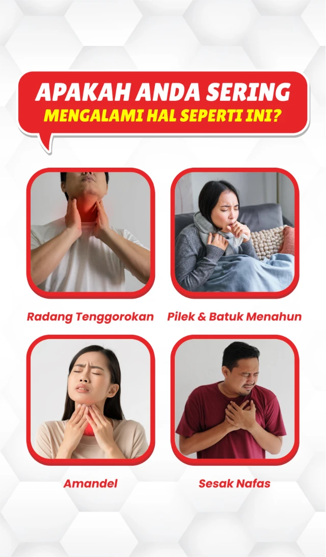 1771380900395-Gambar 2