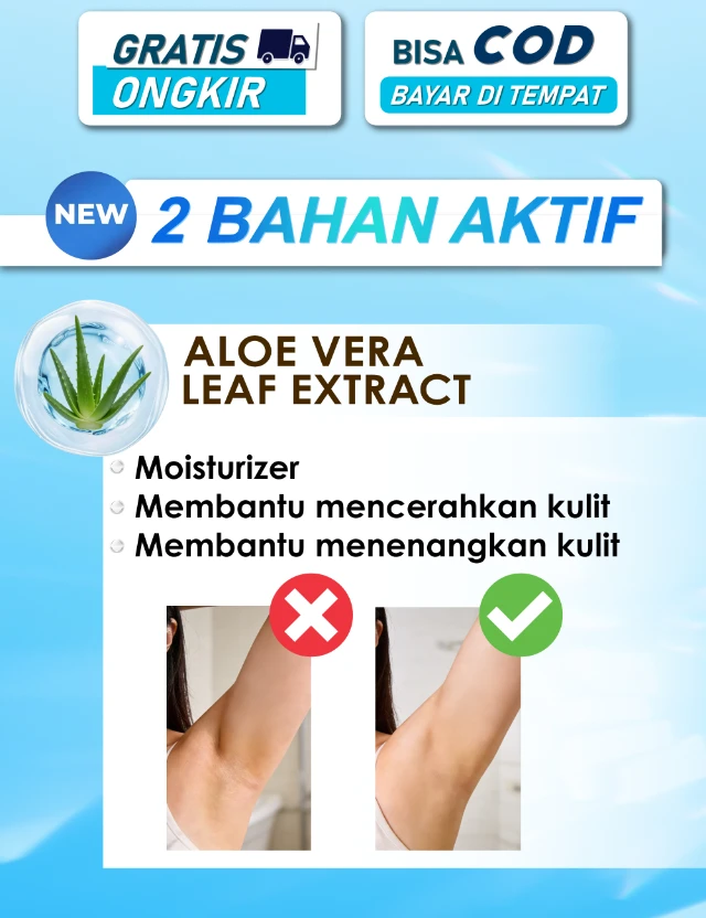 1771409388992-PAGE 2