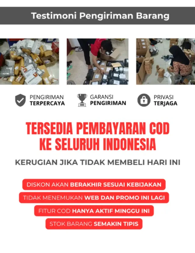 1771411764134-PAGE 10