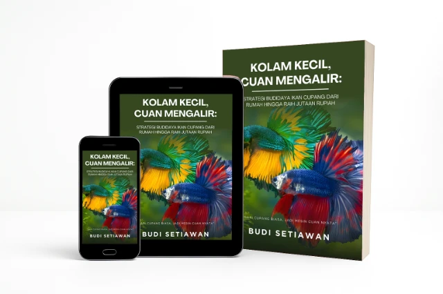 Kolam Kecil, Cuan Mengalir: Strategi Budidaya Ikan Cupang dari Rumah hingga Raih Jutaan Rupiah