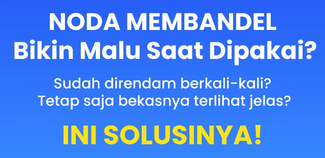 1771469162862-Frame 597 (1)