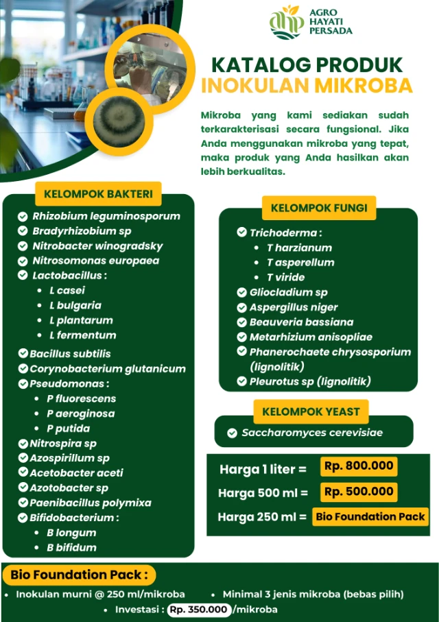 1771477039204-Katalog Produk Terbaru