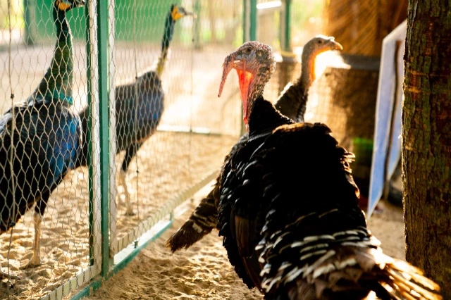 1771531898205-Salinan IMG_2640