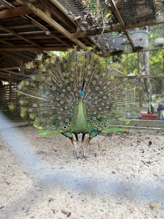 1771532350505-IMG_9811