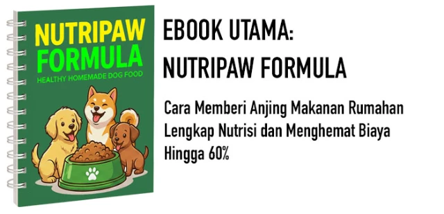 1771673153798-COVER NPF UTAMA