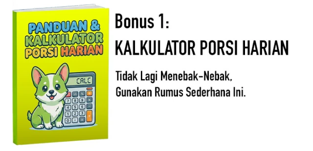 1771673759631-COVER NPF Bonus 1