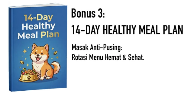 1771673814890-COVER NPF Bonus 3